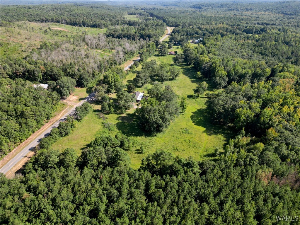 23367 Hwy 219, Centreville, Alabama image 48