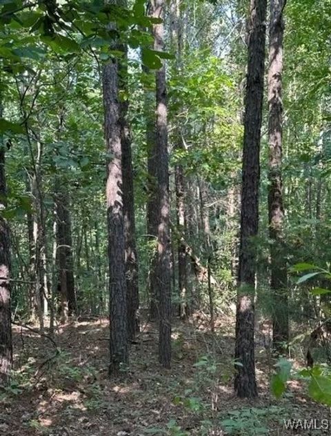 Vacant Land For Sale - 00 Fernkbank Road<br/> Lamar County, Millport, AL 35576