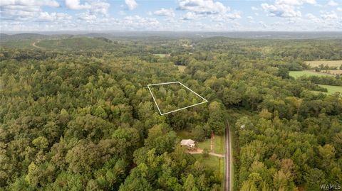 Vacant Land For Sale - County Road 26<br/> Fayette, AL 35555