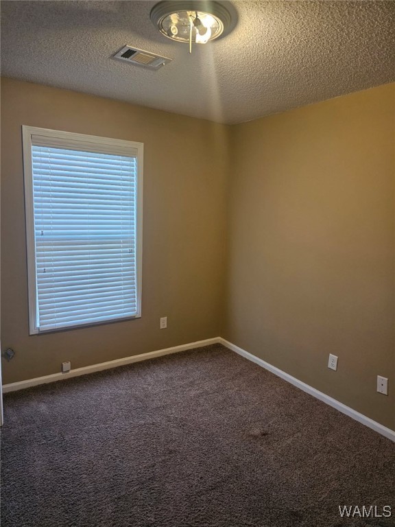 2687 23rd Street, Tuscaloosa, Alabama image 4