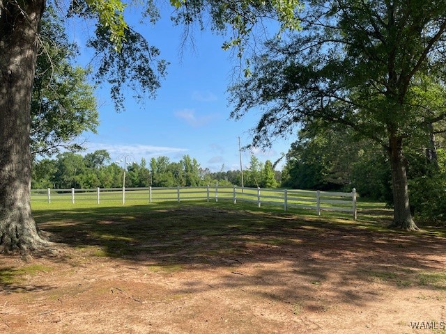 3173 Co. Rd. 7 Road, Greensboro, Alabama image 3