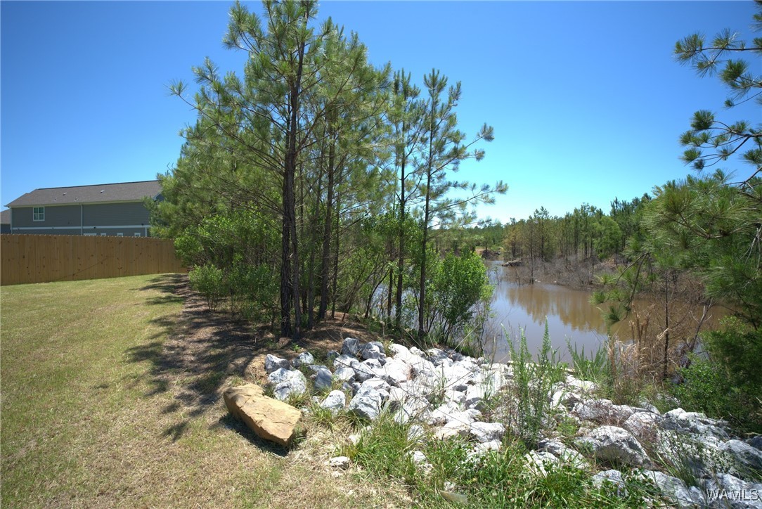 350 Shiloh Creek Dr, Calera, Alabama image 29