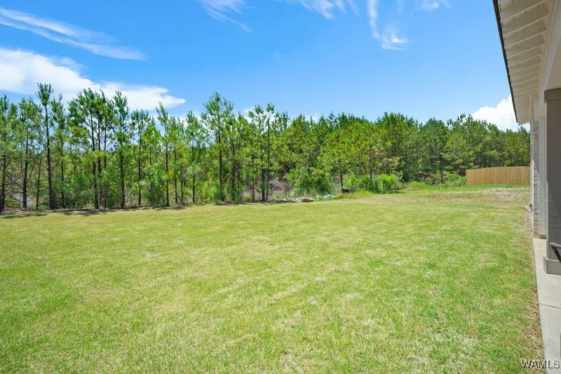 350 Shiloh Creek Dr, Calera, Alabama image 28