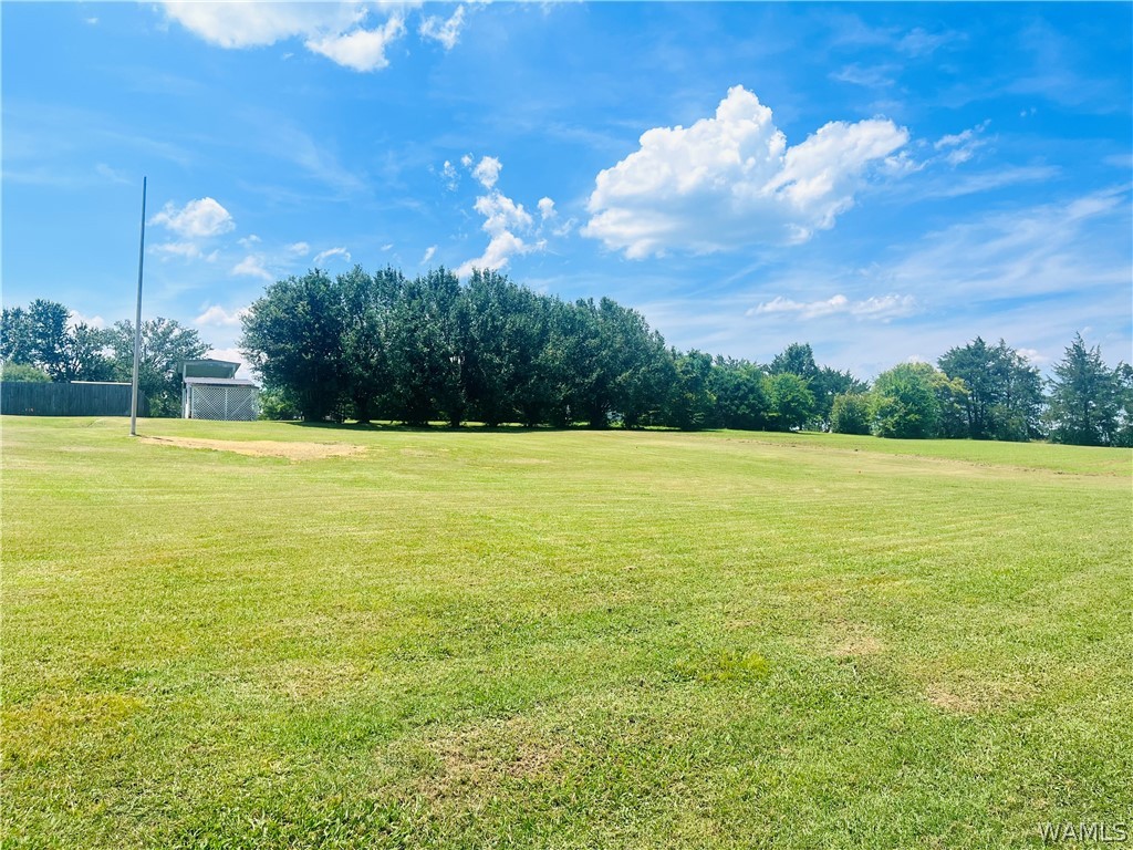 Tucker Drive, Livingston, Alabama image 3