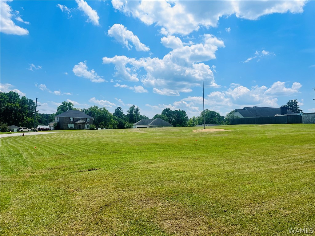 Tucker Drive, Livingston, Alabama image 1