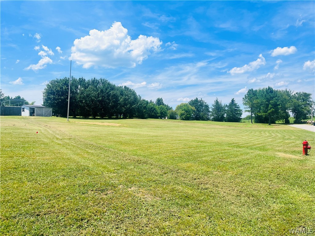 Tucker Drive, Livingston, Alabama image 2