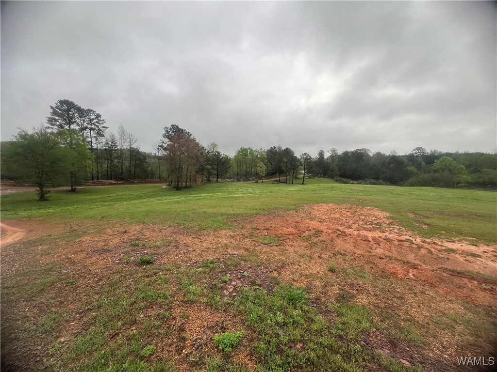 11970 Lost Rd Rd, Berry, Alabama image 25