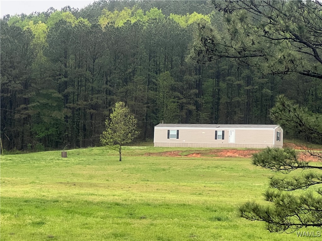 11970 Lost Rd Rd, Berry, Alabama image 1