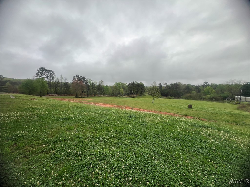 11970 Lost Rd Rd, Berry, Alabama image 16