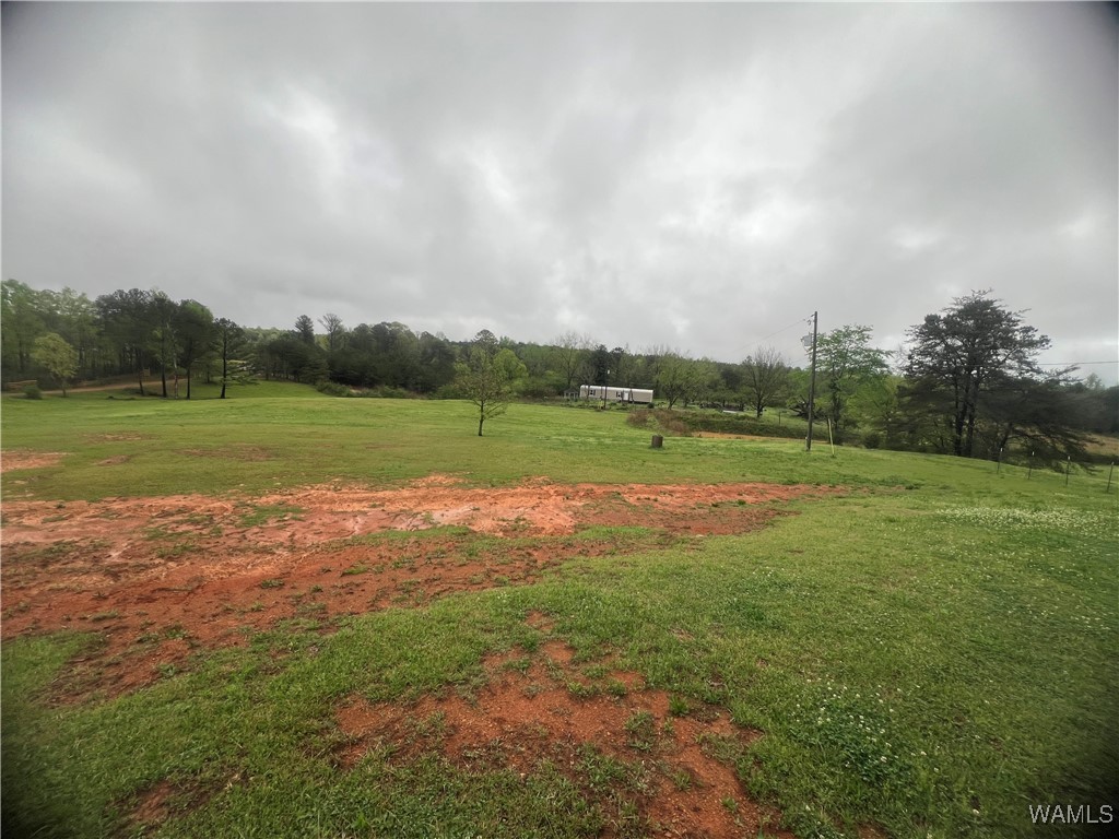 11970 Lost Rd Rd, Berry, Alabama image 22