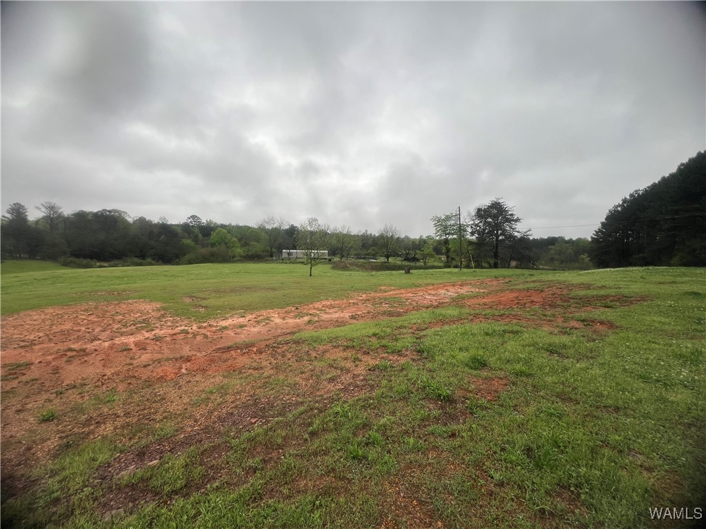 11970 Lost Rd Rd, Berry, Alabama image 24