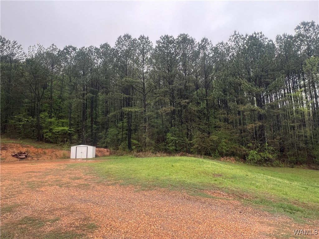 11970 Lost Rd Rd, Berry, Alabama image 27