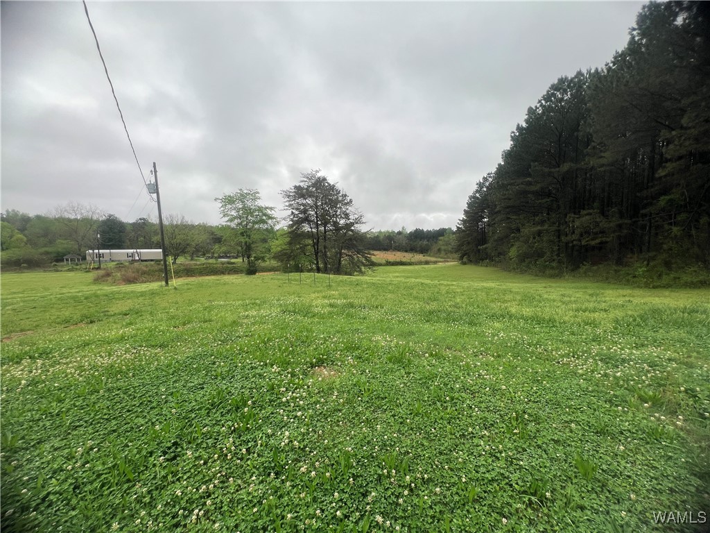11970 Lost Rd Rd, Berry, Alabama image 18