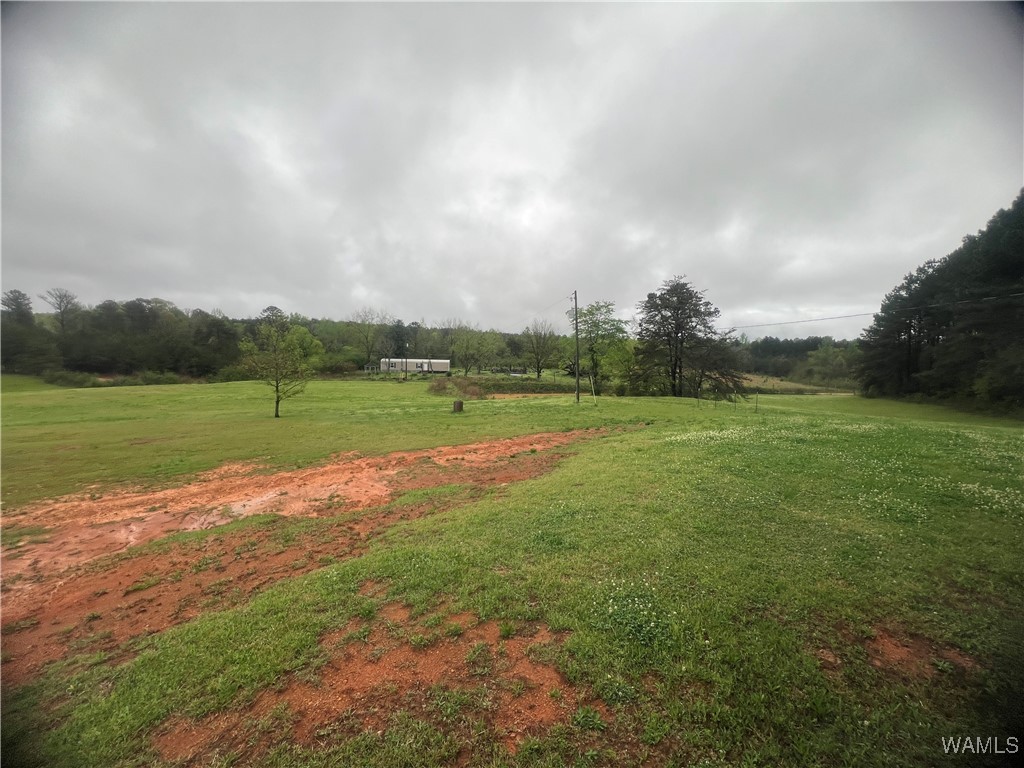 11970 Lost Rd Rd, Berry, Alabama image 21