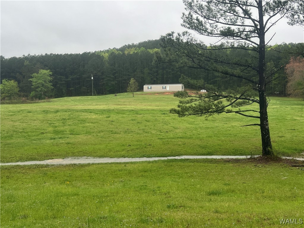 11970 Lost Rd Rd, Berry, Alabama image 2
