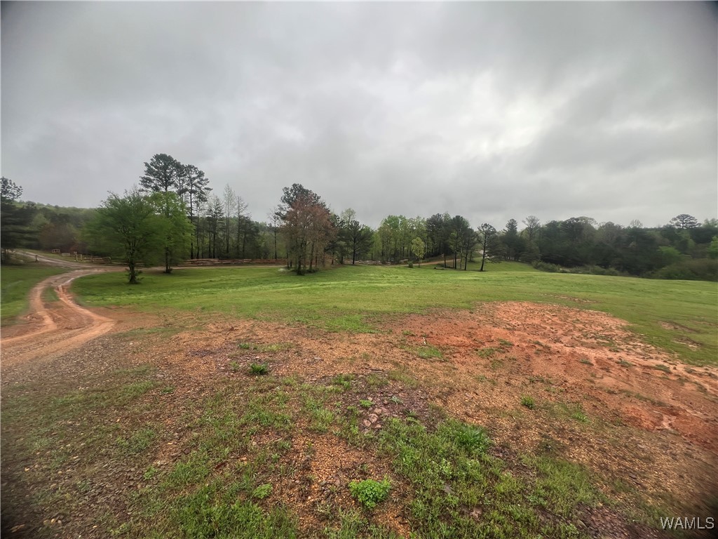 11970 Lost Rd Rd, Berry, Alabama image 26
