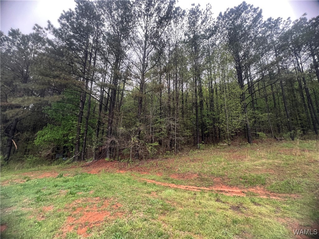 11970 Lost Rd Rd, Berry, Alabama image 30