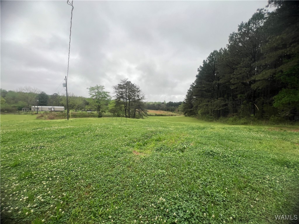 11970 Lost Rd Rd, Berry, Alabama image 29
