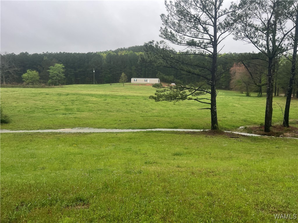 11970 Lost Rd Rd, Berry, Alabama image 32