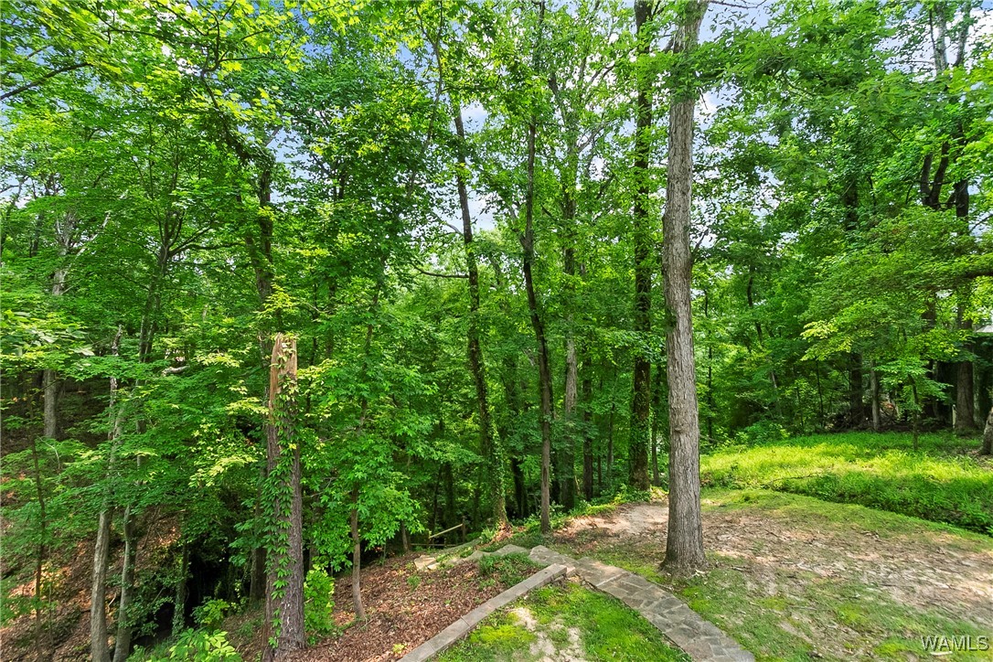 6803 Emerald Lane, Tuscaloosa, Alabama image 49