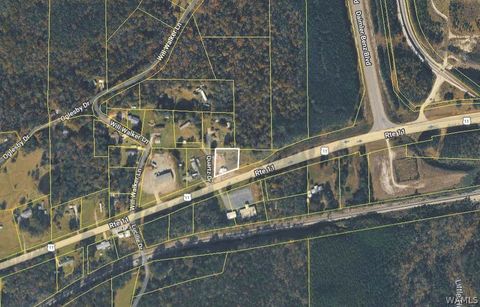 Vacant Land For Sale - Hwy 11<br/> Tuscaloosa County, Vance, AL 35490