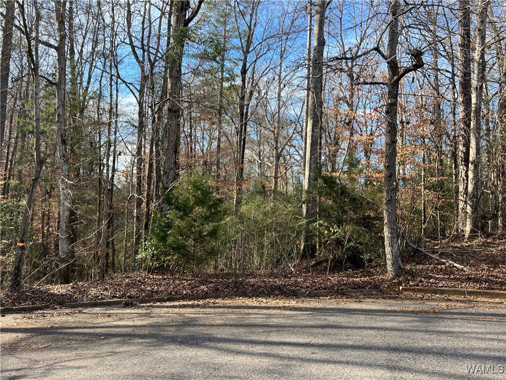 Photo 1 of 1 — 4001 HILLSDALE Circle, Tuscaloosa, AL 35404
