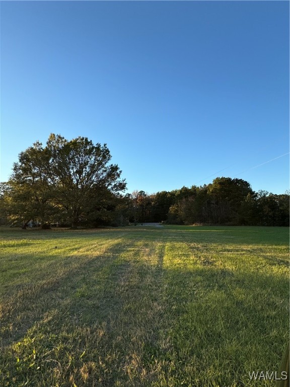 Krout Street, Brent, Alabama image 9