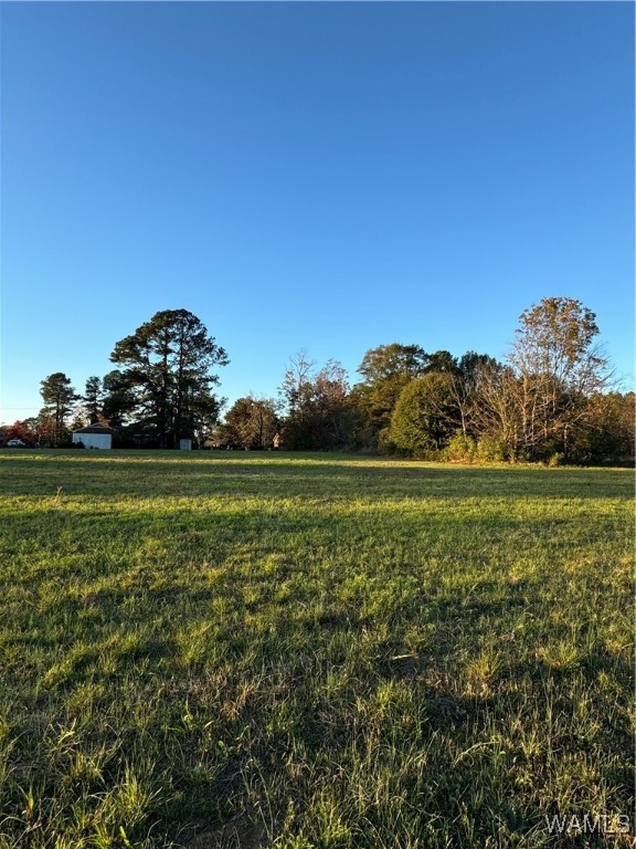 Krout Street, Brent, Alabama image 1