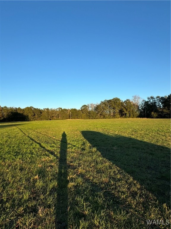 Krout Street, Brent, Alabama image 7