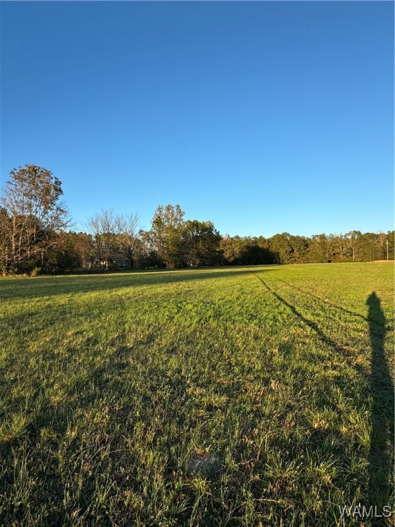 Krout Street, Brent, Alabama image 8