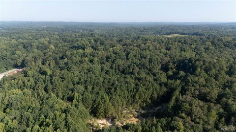 Vacant Land For Sale - Magnolia Circle<br/> Centreville, AL 35042