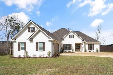 Homes For Sale - 11845 Meadowview Drive<br/> North Port, AL 35475