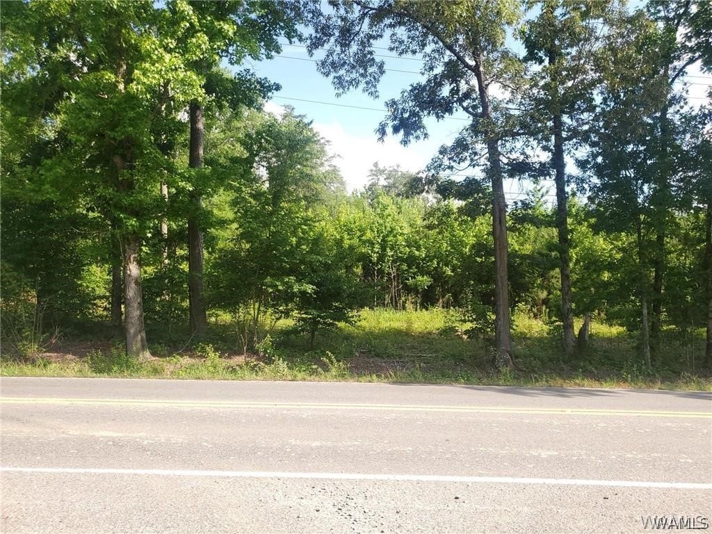 00 Hwy 216, Mccalla, Alabama image 2