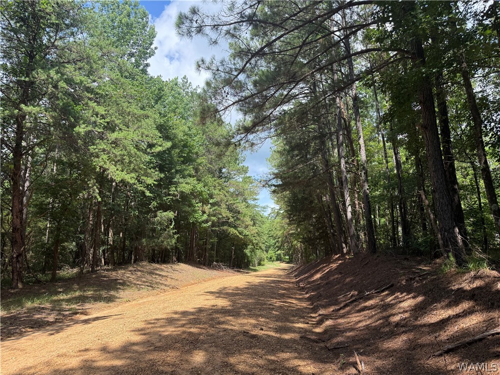 Photo 1 of 10 — 3 Samson Clements Loop Road, Berry, AL 35546