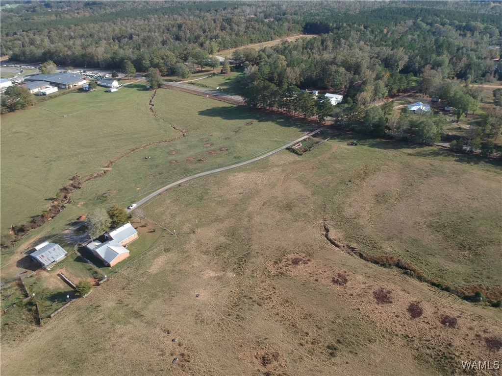 13205 Northside Road, Berry, Alabama image 9