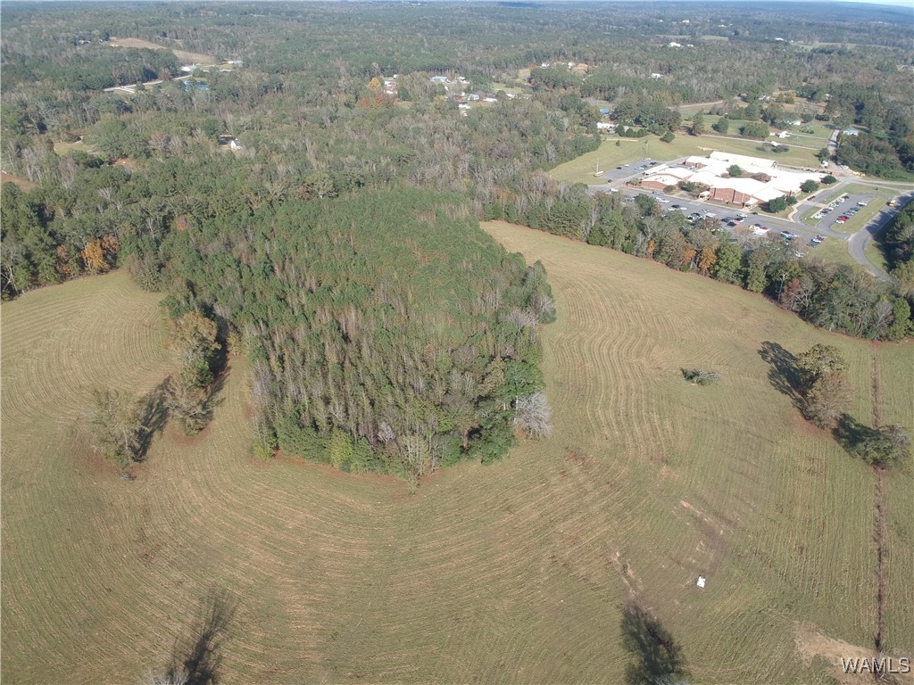13205 Northside Road, Berry, Alabama image 11