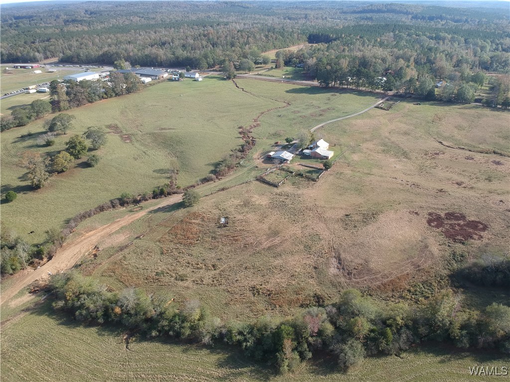 13205 Northside Road, Berry, Alabama image 3