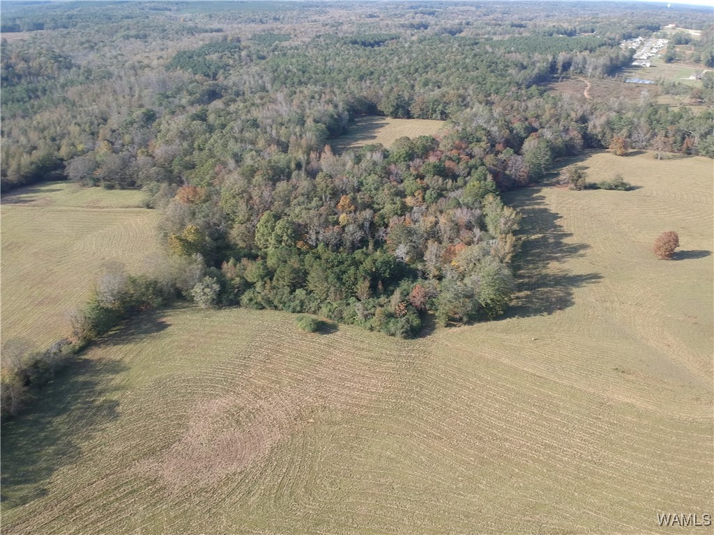 13205 Northside Road, Berry, Alabama image 4