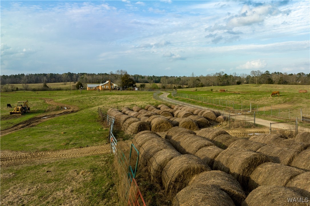 13205 Northside Road, Berry, Alabama image 2