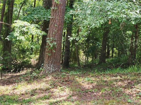 Vacant Land For Sale - 3833 Springhill Drive<br/> Tuscaloosa County, Tuscaloosa, AL 35405