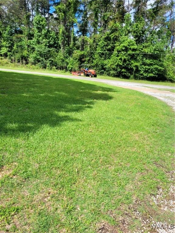 717 Kincaid Road, Kennedy, Alabama image 18