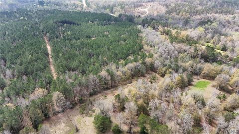 Vacant Land For Sale - Billy Bigham Road<br/> North Port, AL 35475