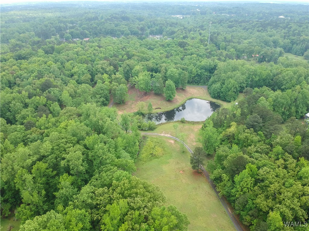 6905 Clements Foley Rd Rd, North Port, Alabama image 43
