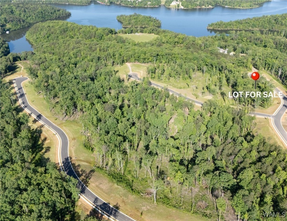 49 Lake Island Rd, Tuscaloosa, Alabama image 1