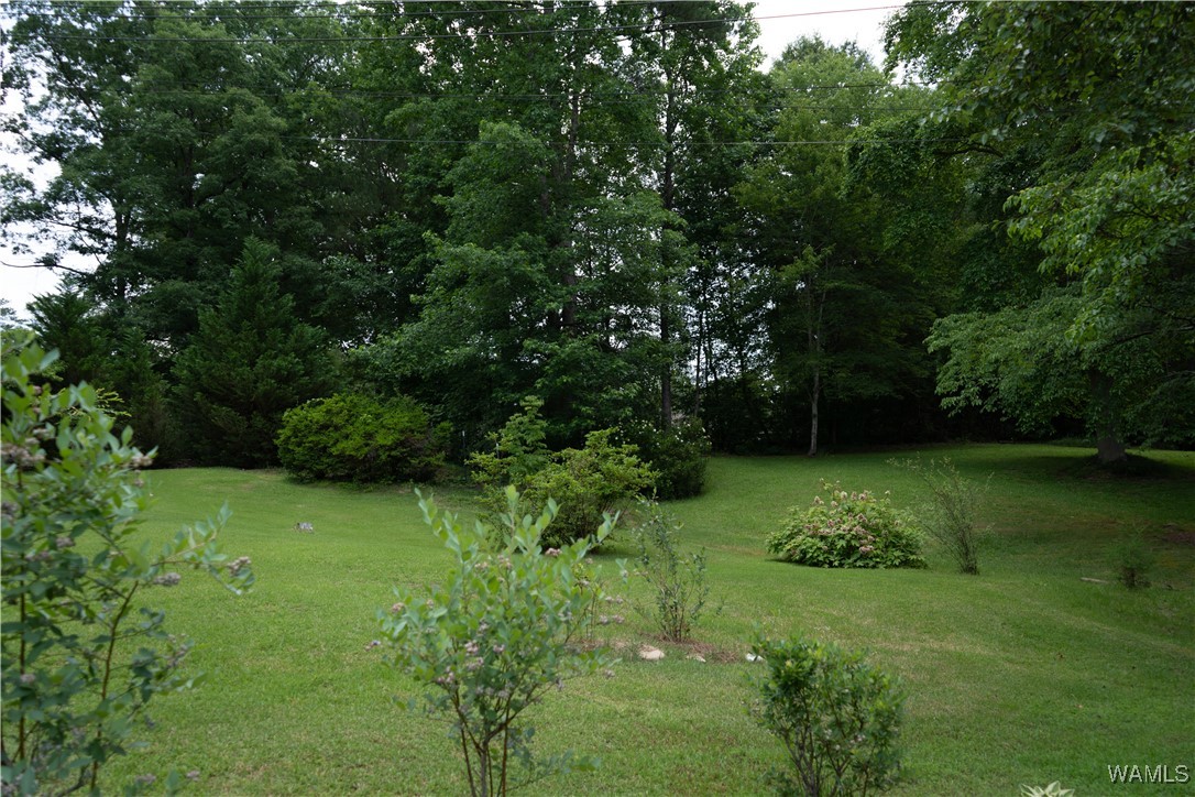 258 Us Highway 43, Winfield, Alabama image 10