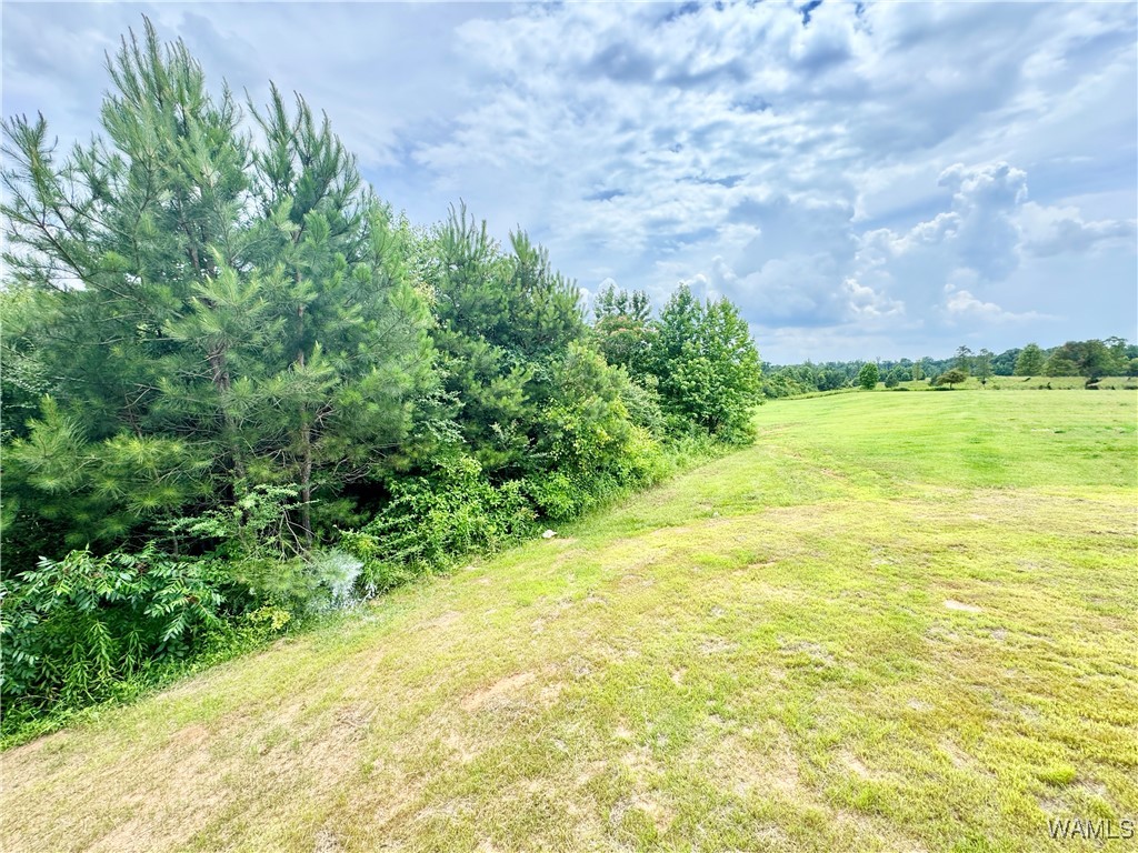 11604 Cripple Creek Road, Berry, Alabama image 25