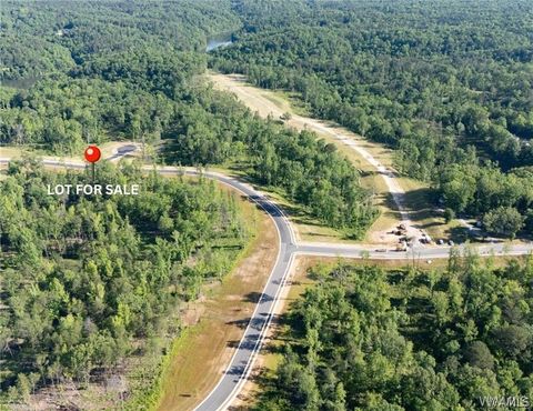 Vacant Land For Sale - 65 Anguilla Ave<br/> Tuscaloosa, AL 35406