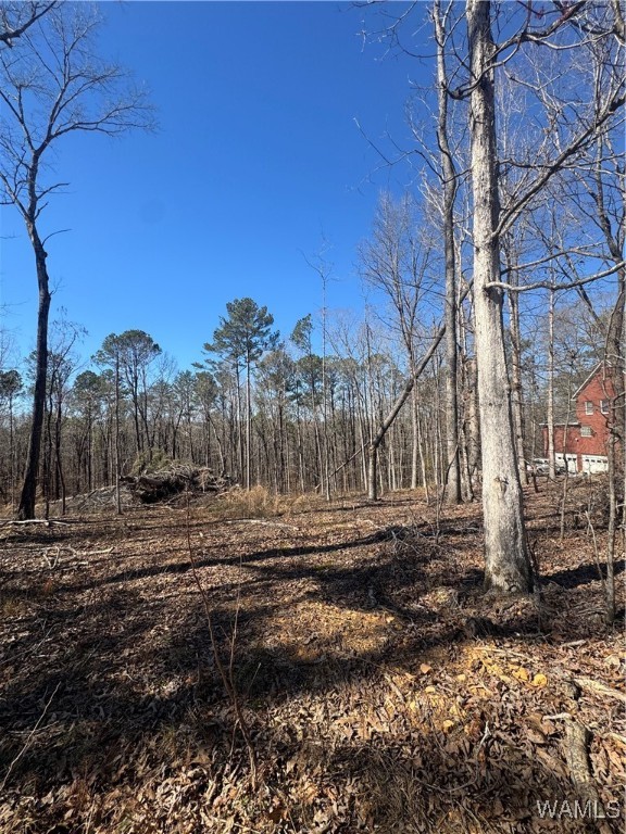 Rosser Lane, McCalla, Alabama image 5