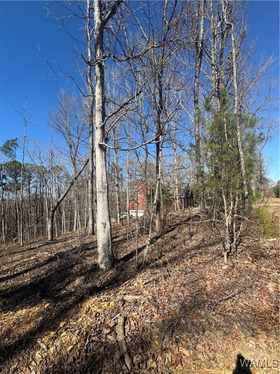 Rosser Lane, McCalla, Alabama image 6