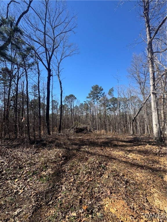 Rosser Lane, McCalla, Alabama image 1